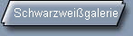 Schwarzweigalerie