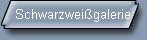Schwarzweigalerie